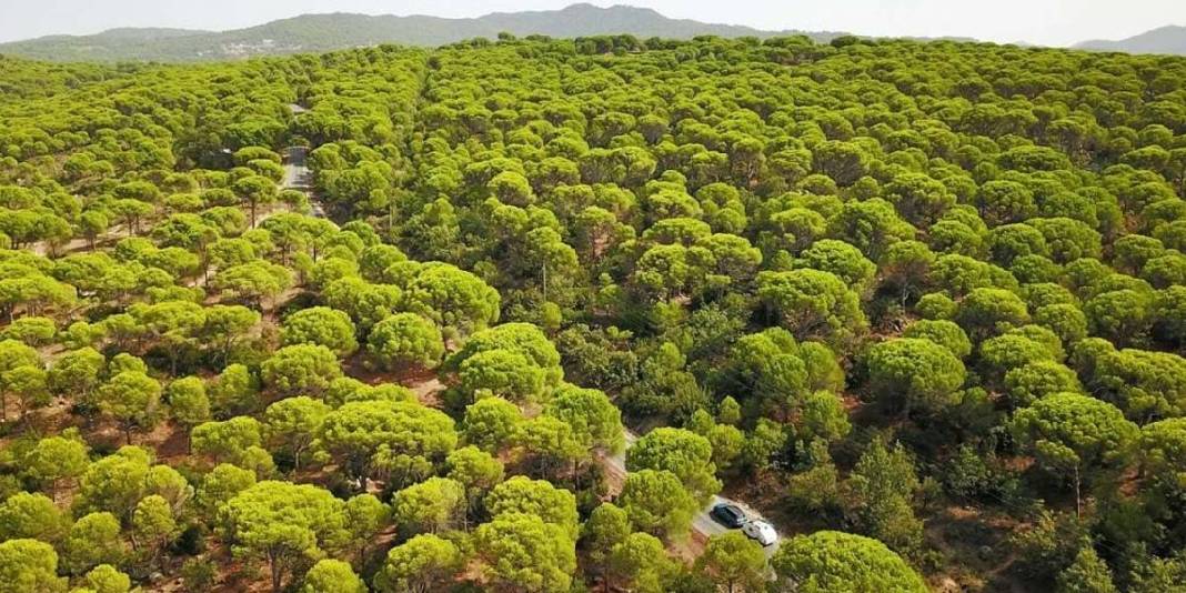 500-1000 metrelik rakımda doğa harikası! Buraya giren çıkmak istemiyor: İster kamp için ister karavan için… 1